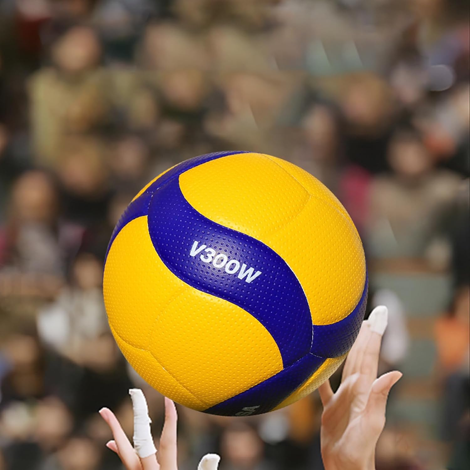 Beach Volleyball Official Dura - Spike Ball Game 评论和价格